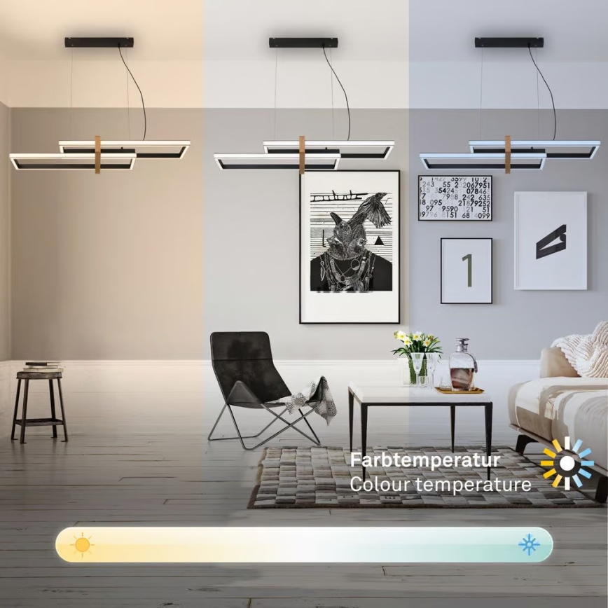 Briloner 4768015 - LED stmievateľný luster na lane LED/44W/230V 2700-6500K + diaľkové ovládanie
