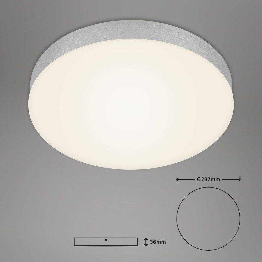 Briloner 7066-014 - LED Stropné svietidlo FLAME LED/21W/230V 3000K strieborná pr. 28,7 cm