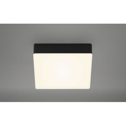 Briloner 7069-015 - LED Stropné svietidlo LED/11W/230V čierna