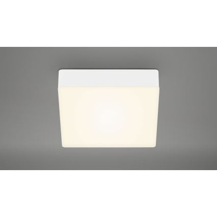 Briloner 7069-016 - LED Stropné svietidlo LED/11W/230V biela