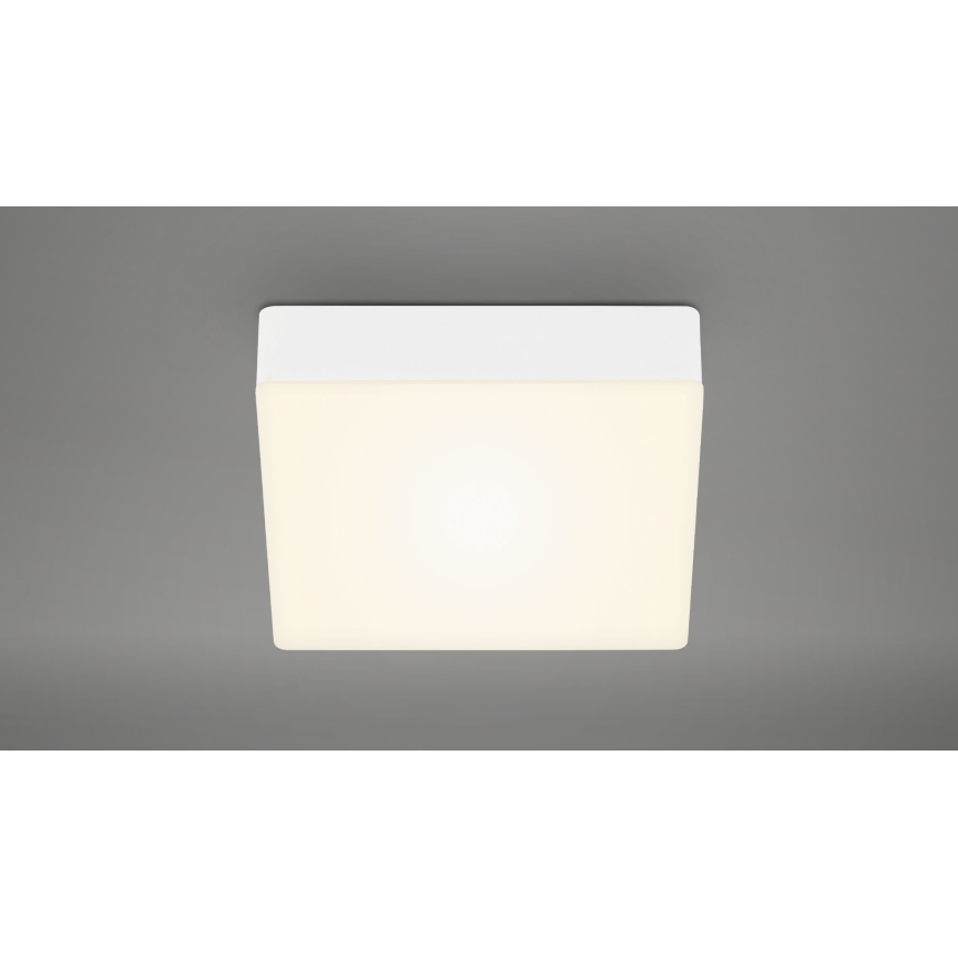 Briloner 7069-016 - LED Stropné svietidlo LED/11W/230V biela
