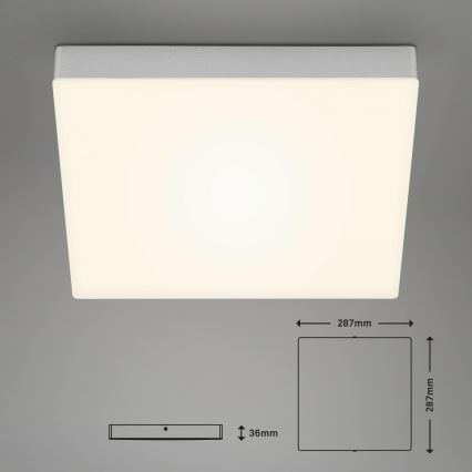 Briloner 7071-014 - LED Stropné svietidlo FLAME LED/21W/230V 3000K 28,7x28,7 cm strieborná