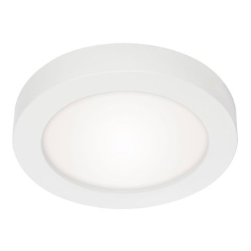 Briloner 7108-416 - LED Stropné svietidlo SKY 2V1 LED/18W/230V biela