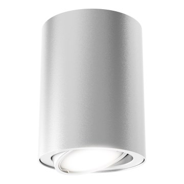 Briloner 7119-014 - LED Bodové svietidlo TUBE 1xGU10/5W/230V guľatý