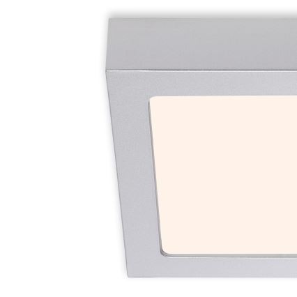 Briloner 7123-014 - LED Stropné svietidlo FIRE LED/12W/230V 3000K 17x17cm strieborné