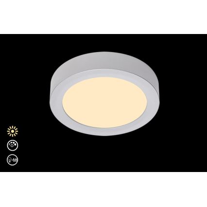 Briloner 7124-014 - LED Stmievateľné stropné svietidlo FIRE LED/12W/230V 3000K