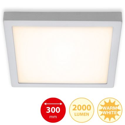 Briloner 7142-014 - LED Stropné svietidlo FIRE LED/21W/230V 3000K