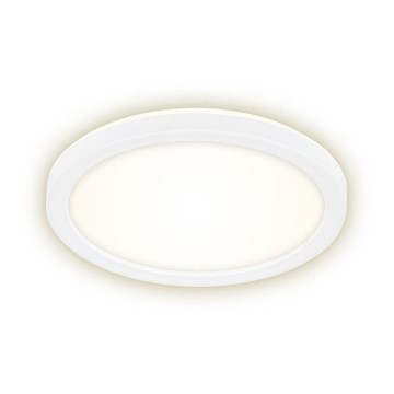 Briloner 7150-416 - LED Stropné svietidlo SLIM LED/12W/230V pr. 19 cm