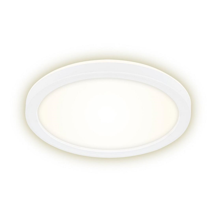 Briloner 7150-416 - LED Stropné svietidlo SLIM LED/12W/230V pr. 19 cm