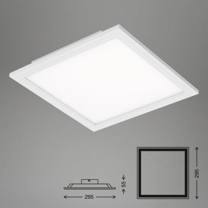 Briloner 7191-016 - LED Stropné svietidlo SIMPLE LED/12W/230V