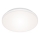 Briloner 7377-016 - LED Stmievateľné stropné svietidlo LED/12W/230V 3000-6500K + diaľkové ovládanie