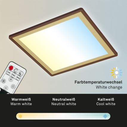 Briloner 7459-417 - LED Stmievateľné stropné svietidlo DECO LED/24W/230V 2700-6500K + diaľkové ovládanie