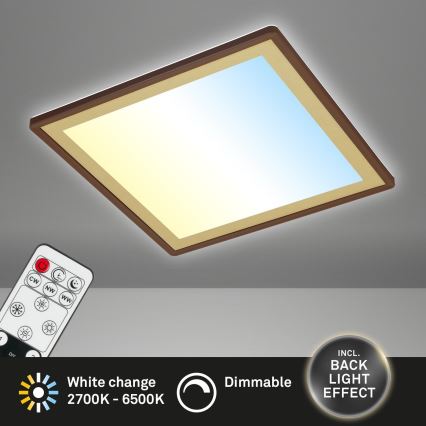 Briloner 7459-417 - LED Stmievateľné stropné svietidlo DECO LED/24W/230V 2700-6500K + diaľkové ovládanie