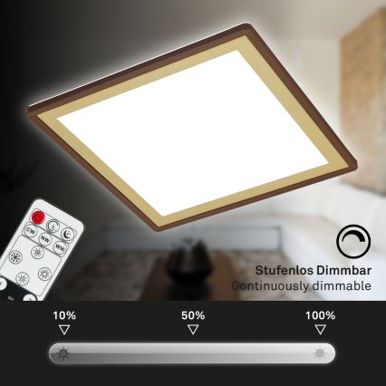 Briloner 7459-417 - LED Stmievateľné stropné svietidlo DECO LED/24W/230V 2700-6500K + diaľkové ovládanie