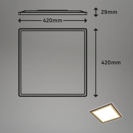 Briloner 7459-417 - LED Stmievateľné stropné svietidlo DECO LED/24W/230V 2700-6500K + diaľkové ovládanie