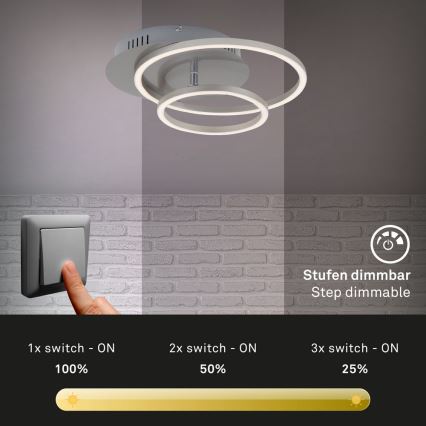 Briloner - LED Stmievateľné stropné svietidlo FRAMES LED/24,5W/230V