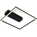 Briloner - LED stropné svietidlo FRAME LED/14W/230V 3000K 30x32 cm čierna