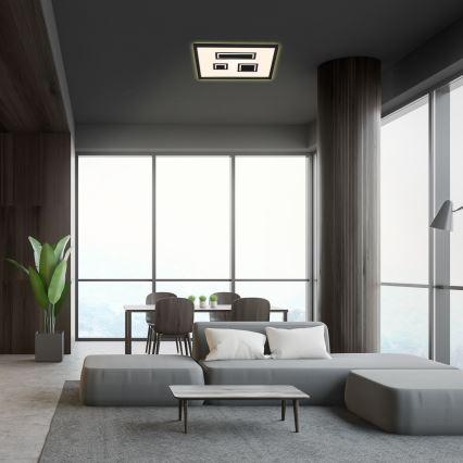 Briloner - LED Stropné svietidlo PAC LED/22W/230V