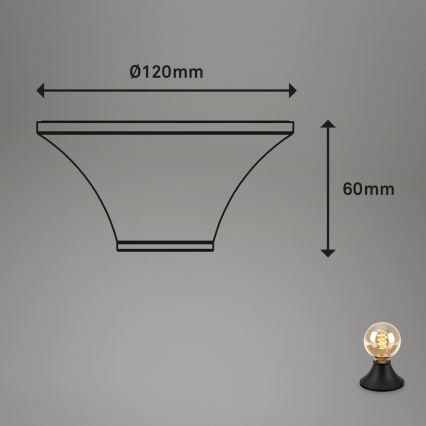 Briloner - Stropné svietidlo do kúpeľne 1xE27/10W/230V IP44 čierna