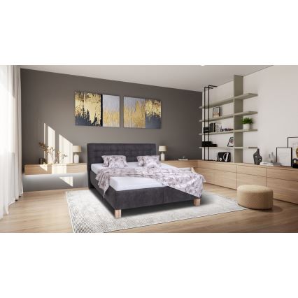 Čalúnená posteľ s úložným priestorom bez matraca VIOLET 160x200 cm tmavošedá