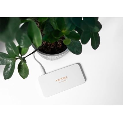 Concept KZ2010 - LED kapesné kozmetické zrkadielko PERFECT SKIN LED/1,5W/5V 4500-5500K 300 mAh biela