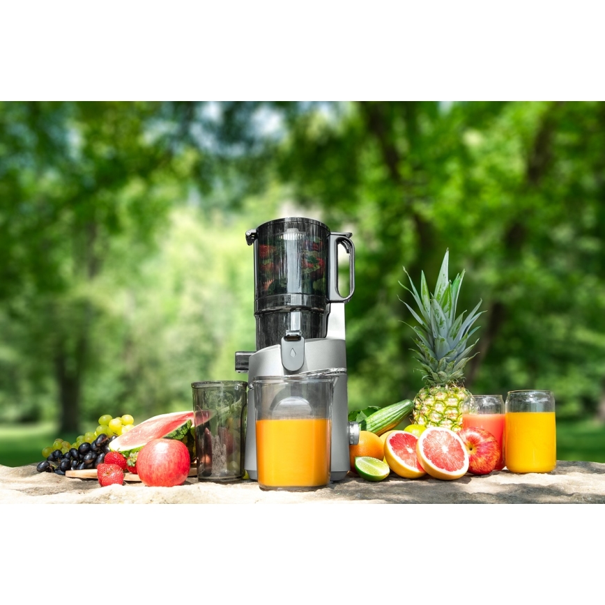 Concept LO7120 - Šnekový odšťavňovač JUICY 250W/230V šedá