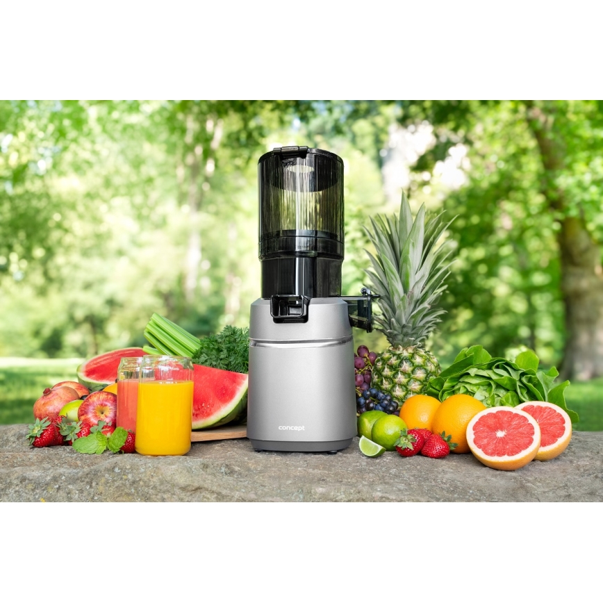 Concept LO7120 - Šnekový odšťavňovač JUICY 250W/230V šedá