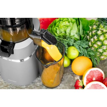 Concept LO7120 - Šnekový odšťavňovač JUICY 250W/230V šedá
