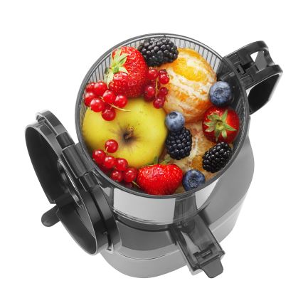 Concept LO7120 - Šnekový odšťavňovač JUICY 250W/230V šedá
