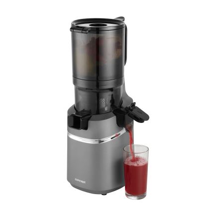 Concept LO7120 - Šnekový odšťavňovač JUICY 250W/230V šedá