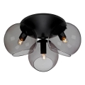 Cottex - Stropné svietidlo CAPELLA 3xE14/40W/230V pr. 37 cm dymové/čierne