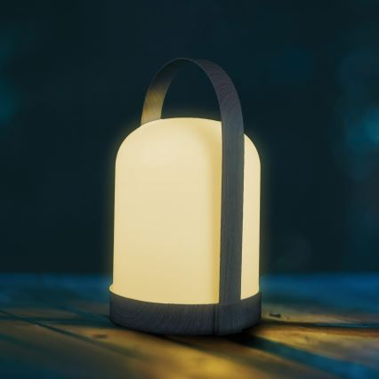 Dekoratívna stolná LED lampa RGBW MINORKA LED/0,3W/4,5V 3xAA