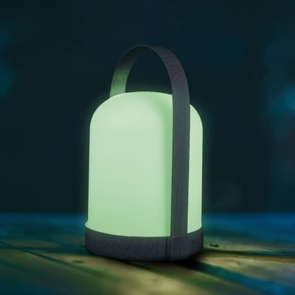 Dekoratívna stolná LED lampa RGBW MINORKA LED/0,3W/4,5V 3xAA