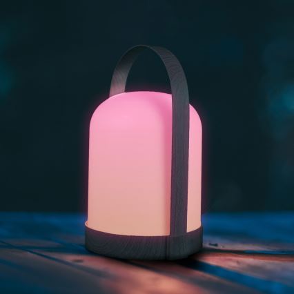 Dekoratívna stolná LED lampa RGBW MINORKA LED/0,3W/4,5V 3xAA