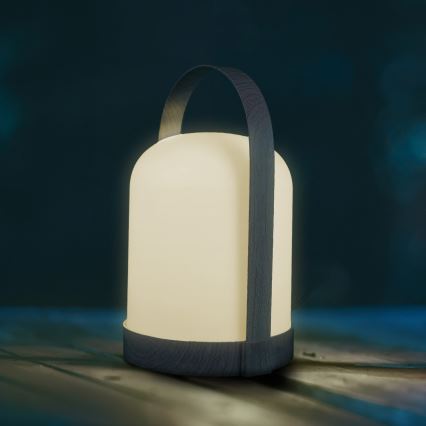 Dekoratívna stolná LED lampa RGBW MINORKA LED/0,3W/4,5V 3xAA