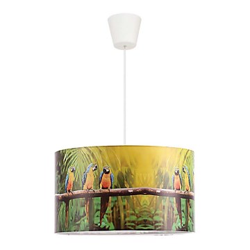 Duolla - Detský luster na lanku PARROTS 1xE27/40W/230V pr. 35 cm