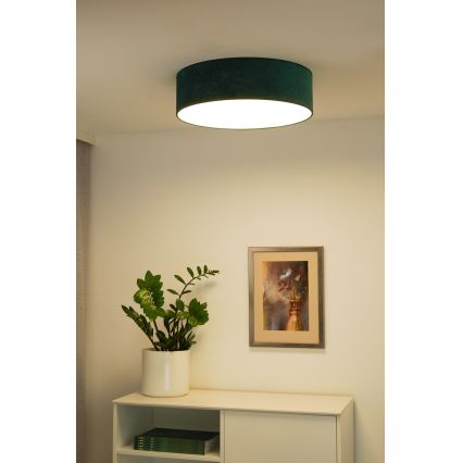 Duolla - LED Stropné svietidlo CORTINA LED/26W/230V pr. 45 cm 4000K zelená