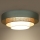 Duolla - LED Stropné svietidlo LUNETA LED/26W/230V pr. 60 cm 4000K tyrkysová/béžová/krémová