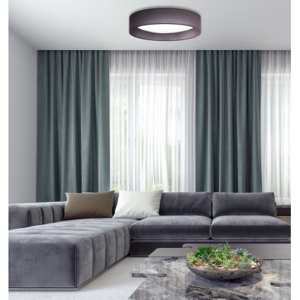 Duolla - LED Stropné svietidlo ROLLER LED/24W/230V pr. 45 cm antracit