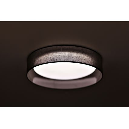 Duolla - LED Stropné svietidlo ROLLER LED/24W/230V pr. 45 cm antracit