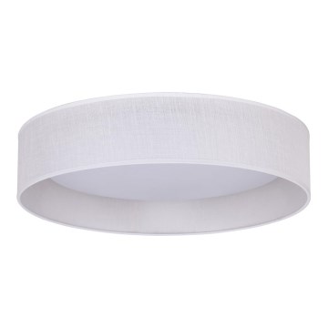 Duolla - LED Stropné svietidlo ROLLER LED/24W/230V pr. 45 cm biela