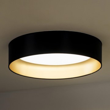 Duolla - LED Stropné svietidlo ROLLER LED/24W/230V pr. 45 cm čierna/zlatá