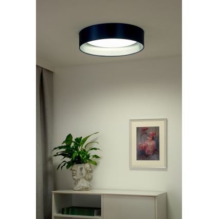 Duolla - LED Stropné svietidlo ROLLER LED/24W/230V pr. 45 cm modrá/strieborná