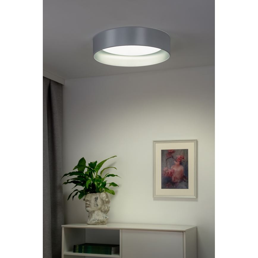 Duolla - LED Stropné svietidlo ROLLER LED/24W/230V pr. 45 cm strieborná