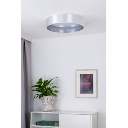 Duolla - LED Stropné svietidlo ROLLER LED/24W/230V pr. 45 cm strieborná