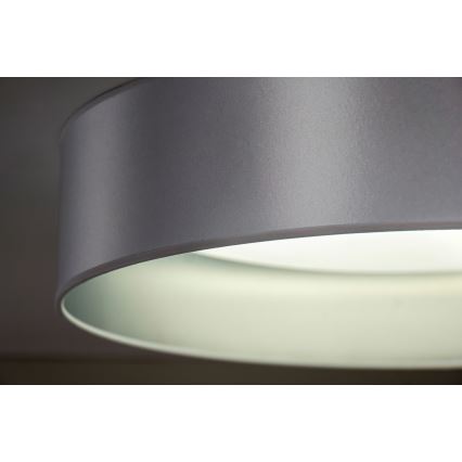 Duolla - LED Stropné svietidlo ROLLER LED/24W/230V pr. 45 cm strieborná
