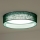 Duolla - LED Stropné svietidlo ROLLER LED/24W/230V pr. 45 cm zelená