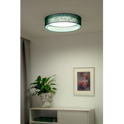Duolla - LED Stropné svietidlo ROLLER LED/24W/230V pr. 45 cm zelená