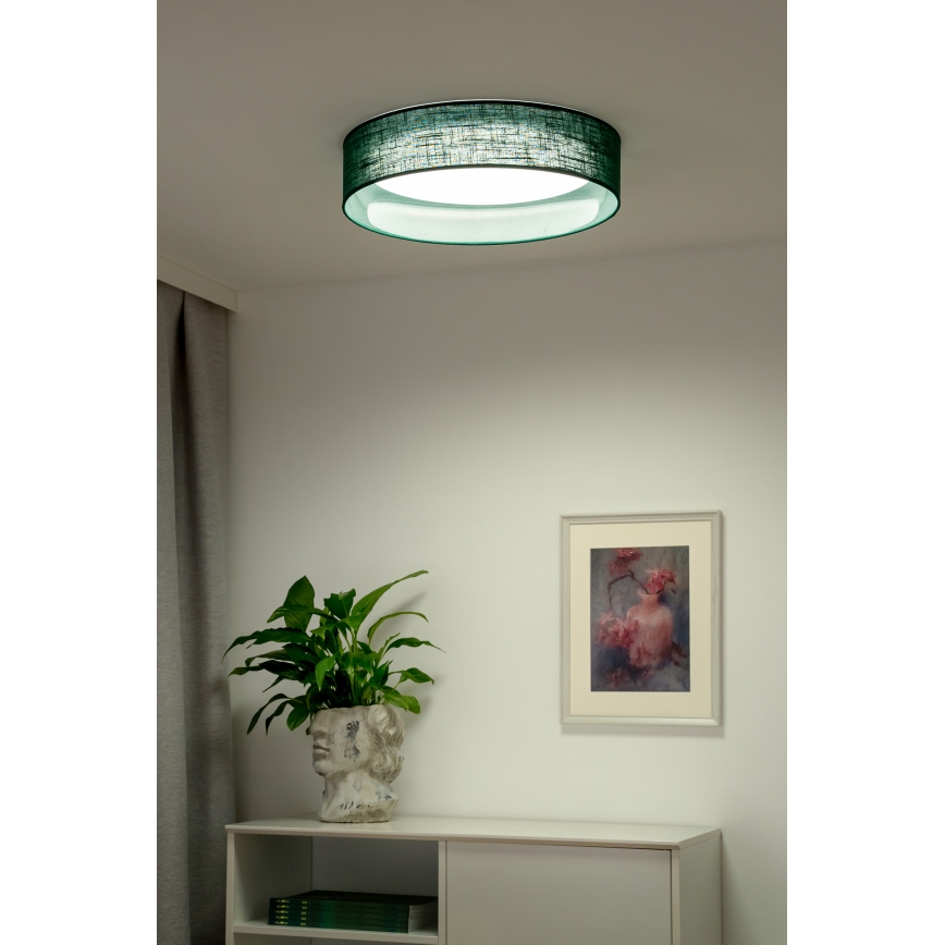 Duolla - LED Stropné svietidlo ROLLER LED/24W/230V pr. 45 cm zelená