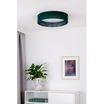 Duolla - LED Stropné svietidlo ROLLER LED/24W/230V pr. 45 cm zelená